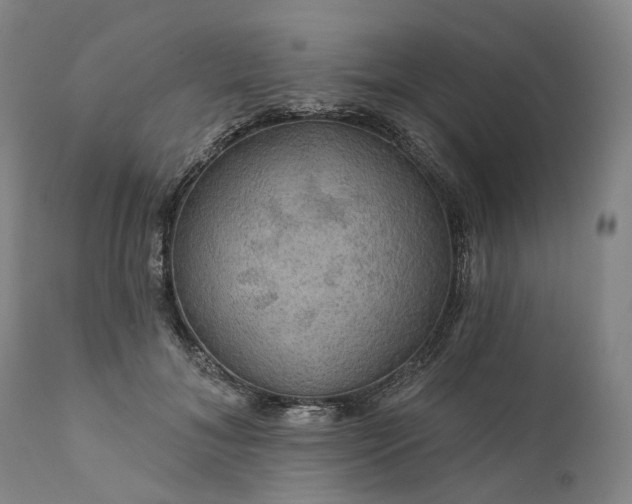 X0000111200700200907151414