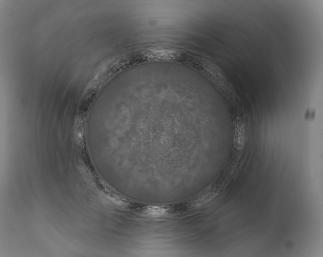 X0000111200701200907151414