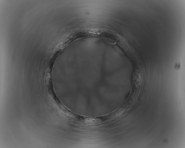 X0000111200707200907151413