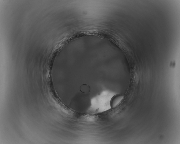 X0000111200711200907151413