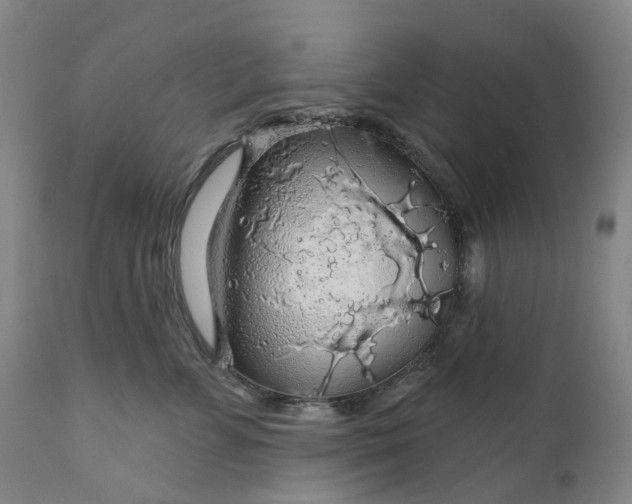 X0000111200715200907151413