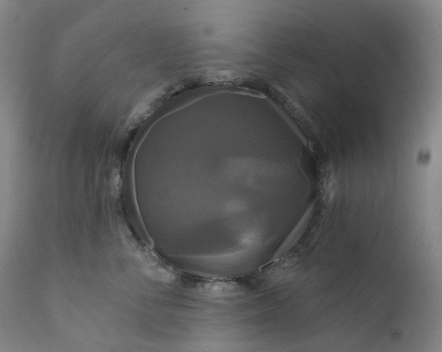 X0000111200716200907151413