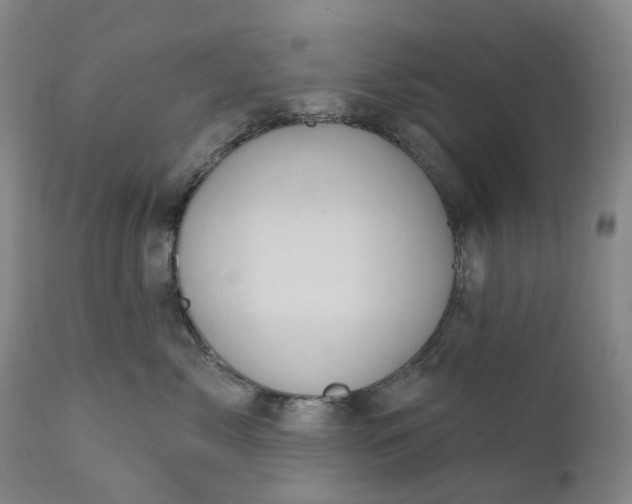 X0000111200717200907151413