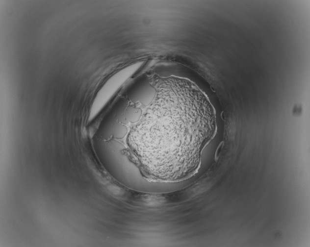 X0000111200719200907151413