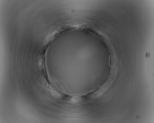 X0000111200720200907151413