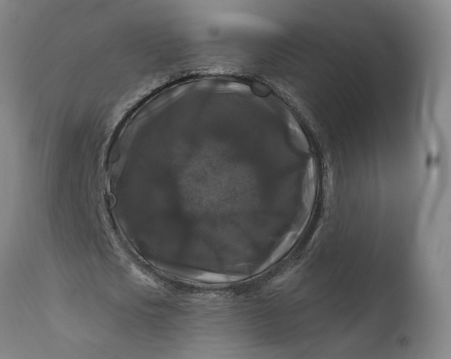 X0000111200721200907151412