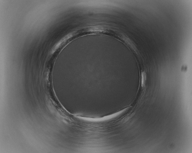 X0000111200723200907151413