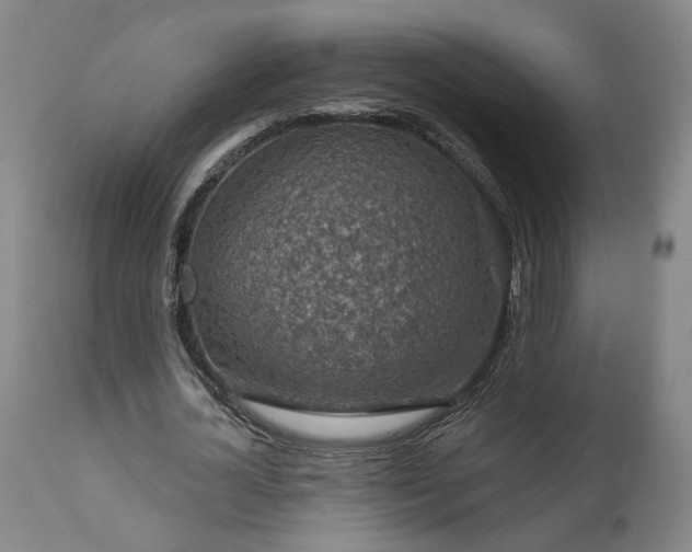 X0000111200724200907151413