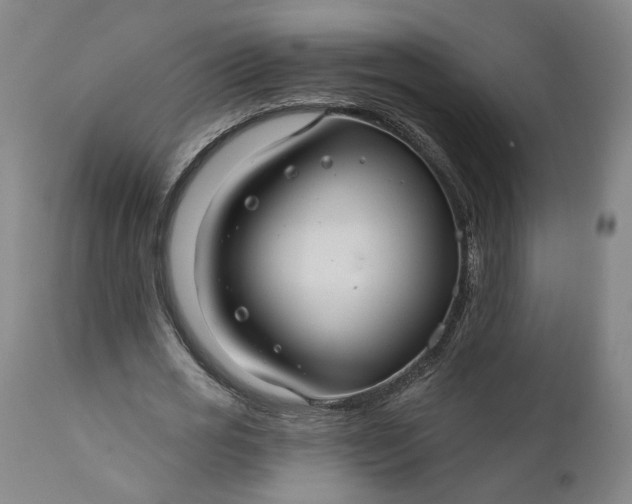 X0000111200725200907151413