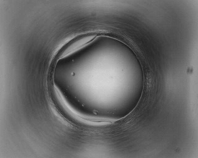 X0000111200726200907151413