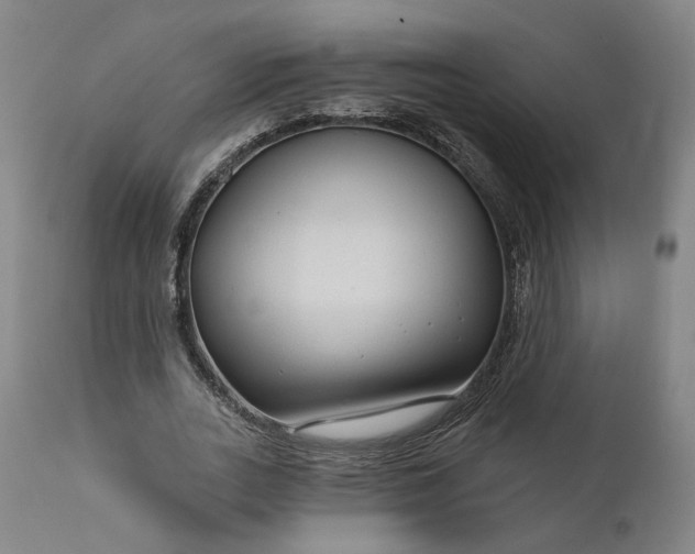 X0000111200727200907151413