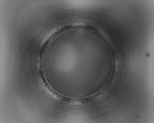 X0000111200729200907151413