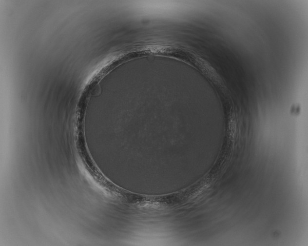 X0000111200730200907151413