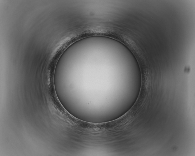 X0000111200731200907151413