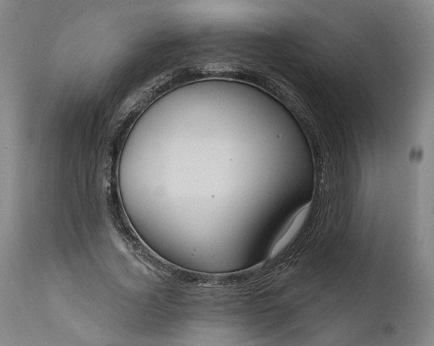 X0000111200732200907151413