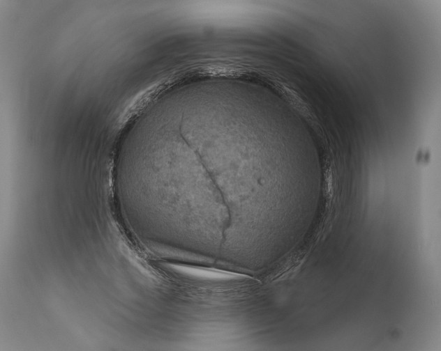 X0000111200733200907151413