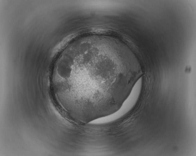 X0000111200734200907151413