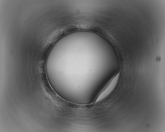 X0000111200738200907151413