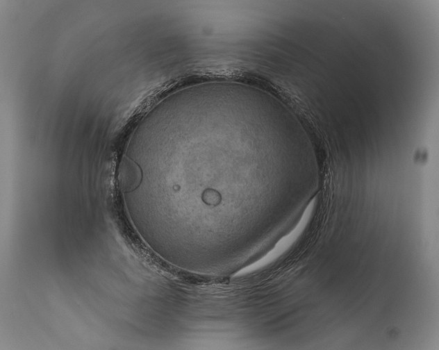 X0000111200739200907151413