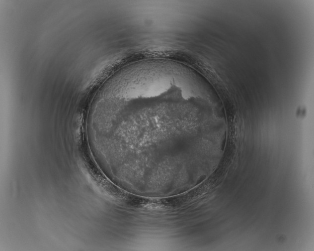 X0000111200742200907151413