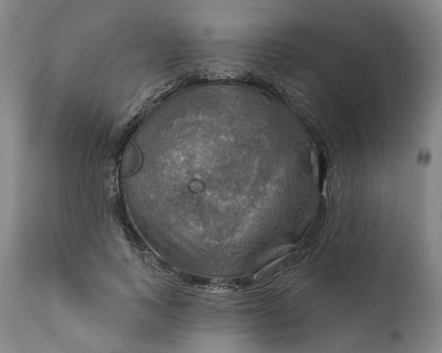 X0000111200743200907151413