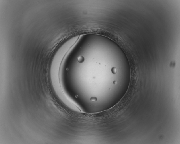 X0000111200744200907151413