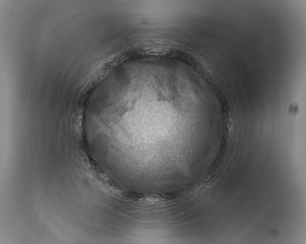 X0000111200745200907151413