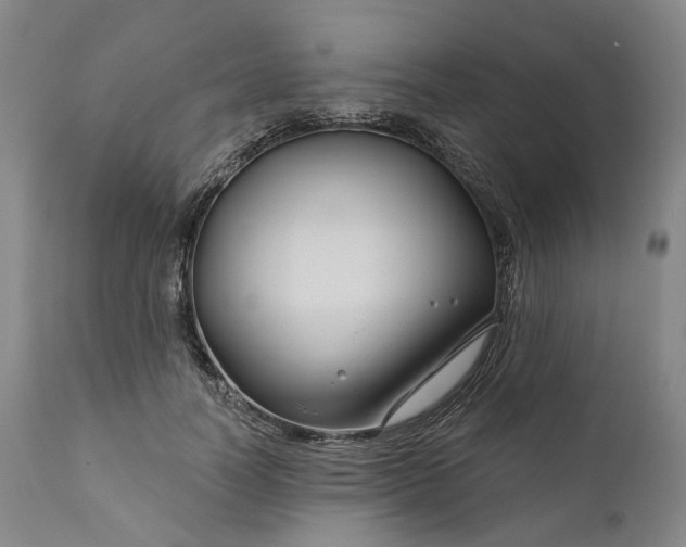 X0000111200746200907151413