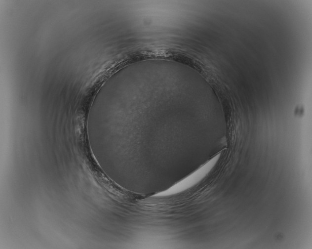 X0000111200747200907151413