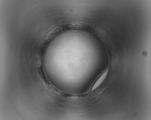 X0000111200751200907151413