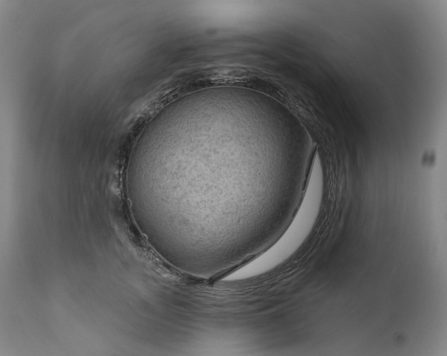 X0000111200755200907151413