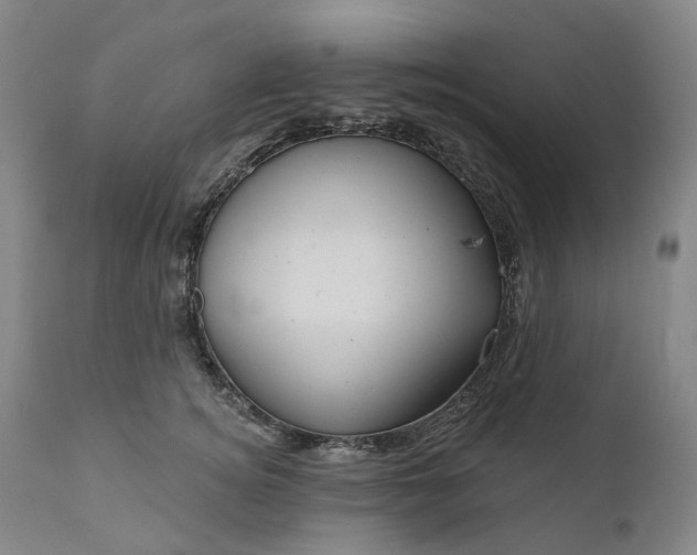 X0000111200756200907151413