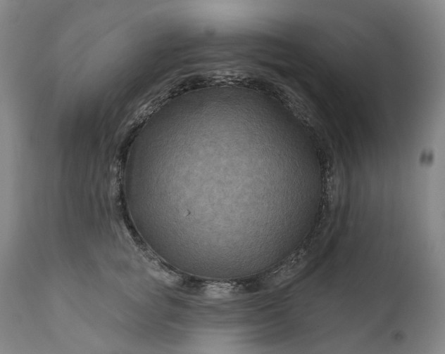 X0000111200757200907151413