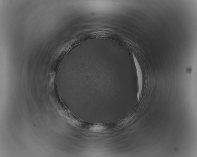 X0000111200759200907151413