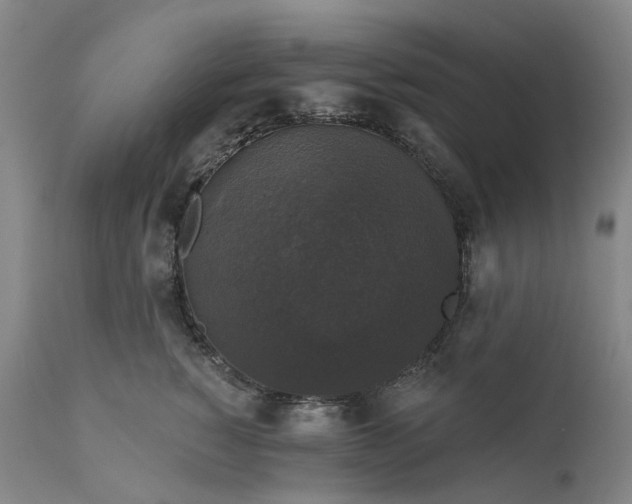 X0000111200760200907151413