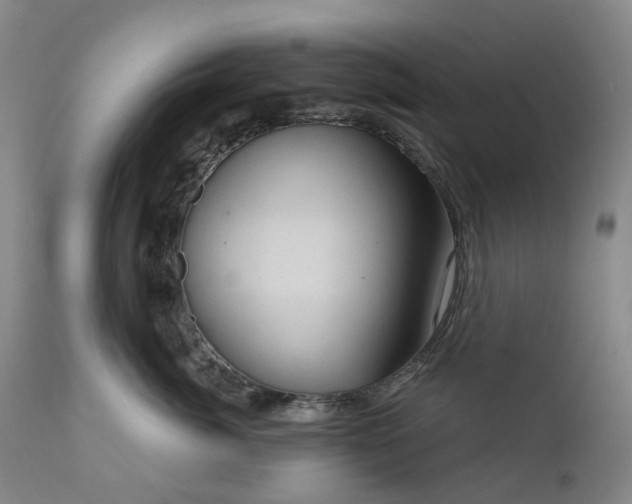 X0000111200764200907151413