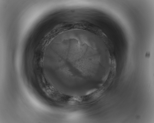 X0000111200765200907151413