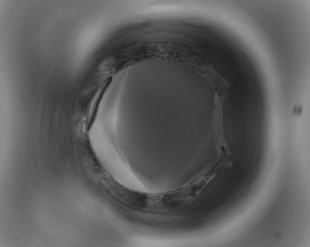 X0000111200766200907151413