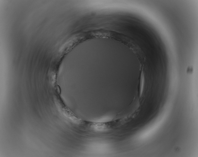 X0000111200767200907151413