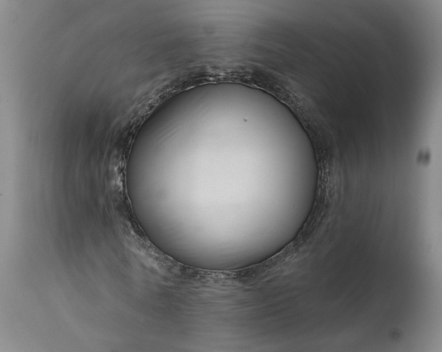 X0000111200770200907151412