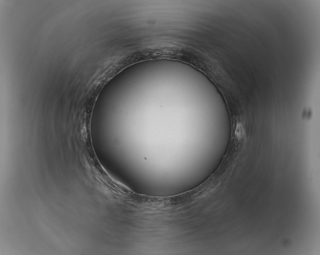 X0000111200771200907151412