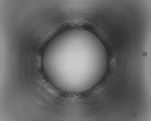 X0000111200772200907151412