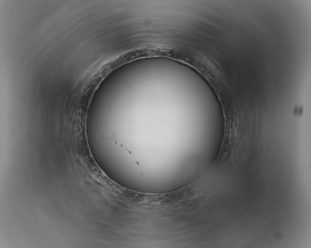 X0000111200773200907151412