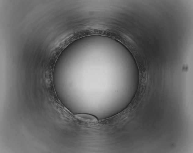 X0000111200774200907151412