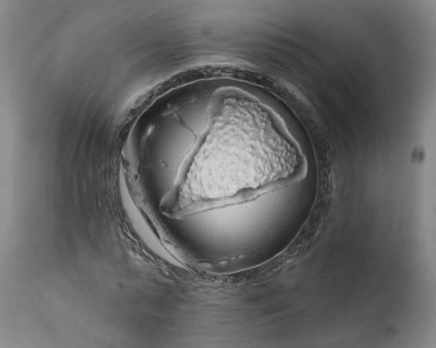 X0000111200775200907151412