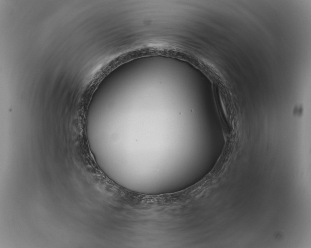 X0000111200776200907151412