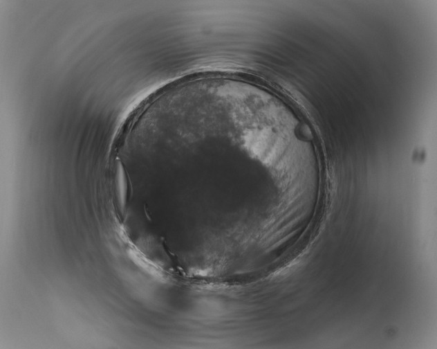 X0000111200779200907151412