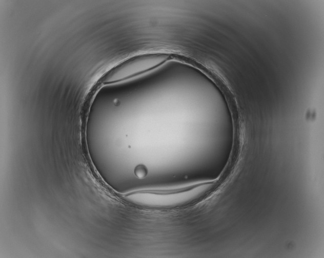 X0000111200781200907151412