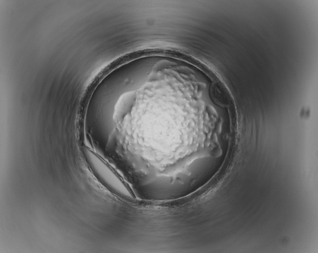 X0000111200783200907151412