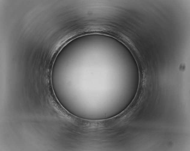 X0000111200786200907151412